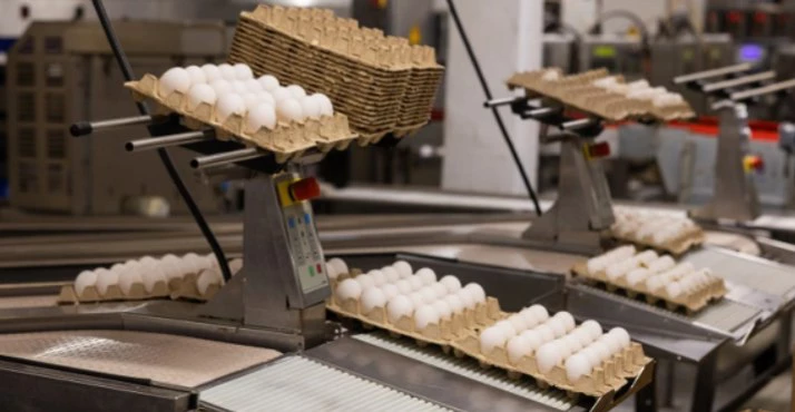 АО «Птицефабрика «Комсомольская»