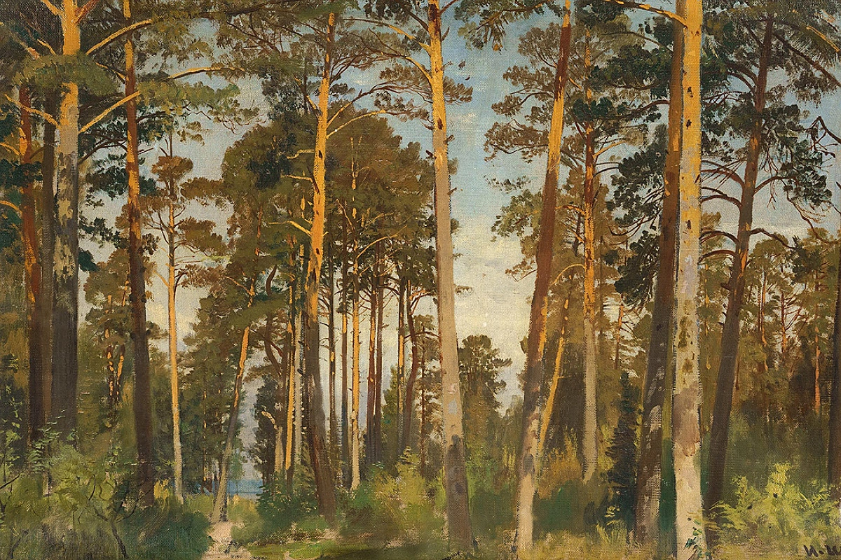 Картина Василия Шишкина «Сосны» (ок. 1860)