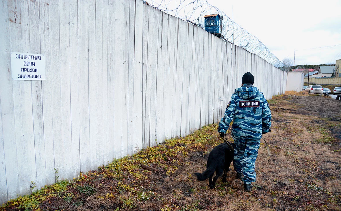 Jonas Petrovas / Shutterstock