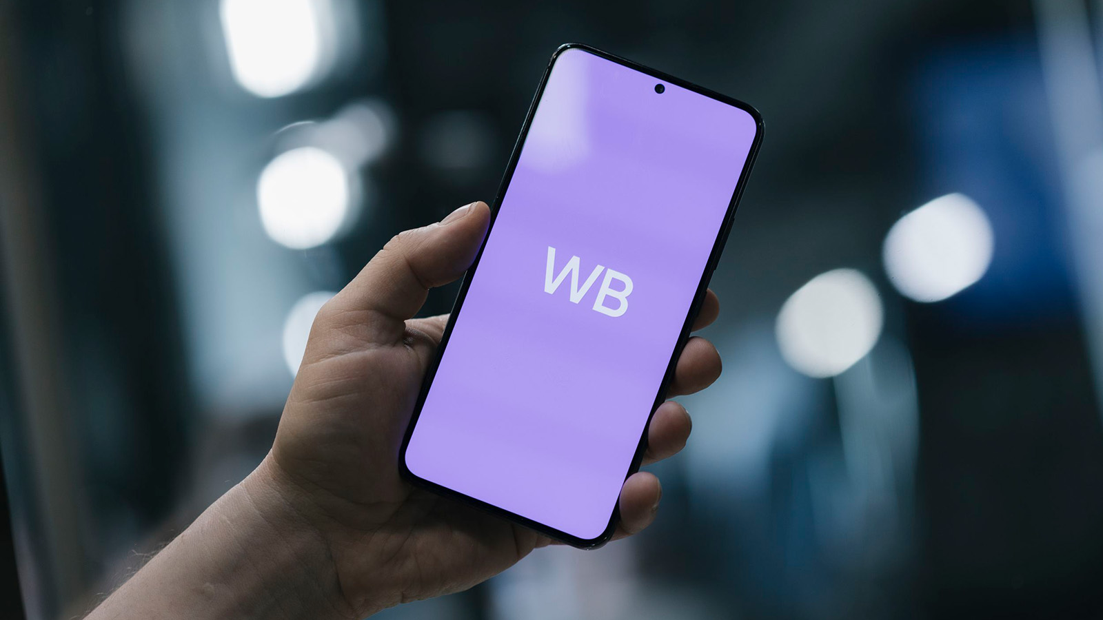 Wildberries анонсировал запуск сервиса для инвестиций «WB Копилка»