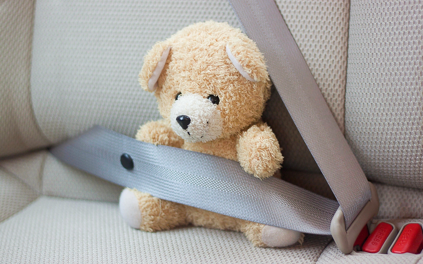 Фото: Paraball / Shutterstock / FOTODOM