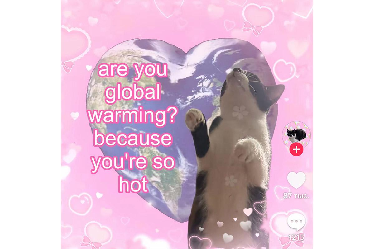 «Ты что, глобальное потепление? Потому что ты такой горячий», — гласит подпись