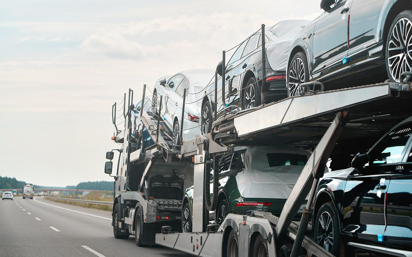 Фото: alexgo.photography / Shutterstock / FOTODOM