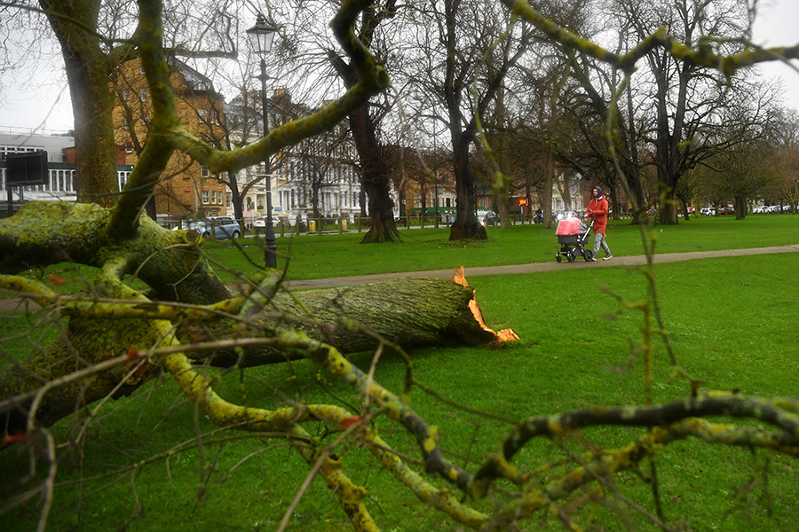 В Лондоне из-за шторма закрыты все восемь королевских парков, включая Гайд-парк
