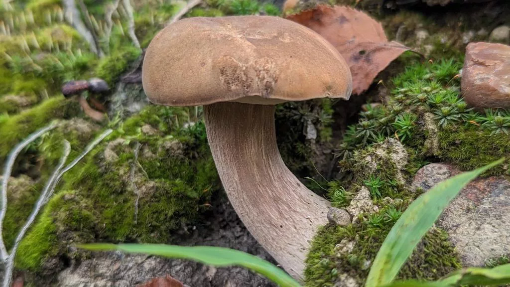 РБК Приморье