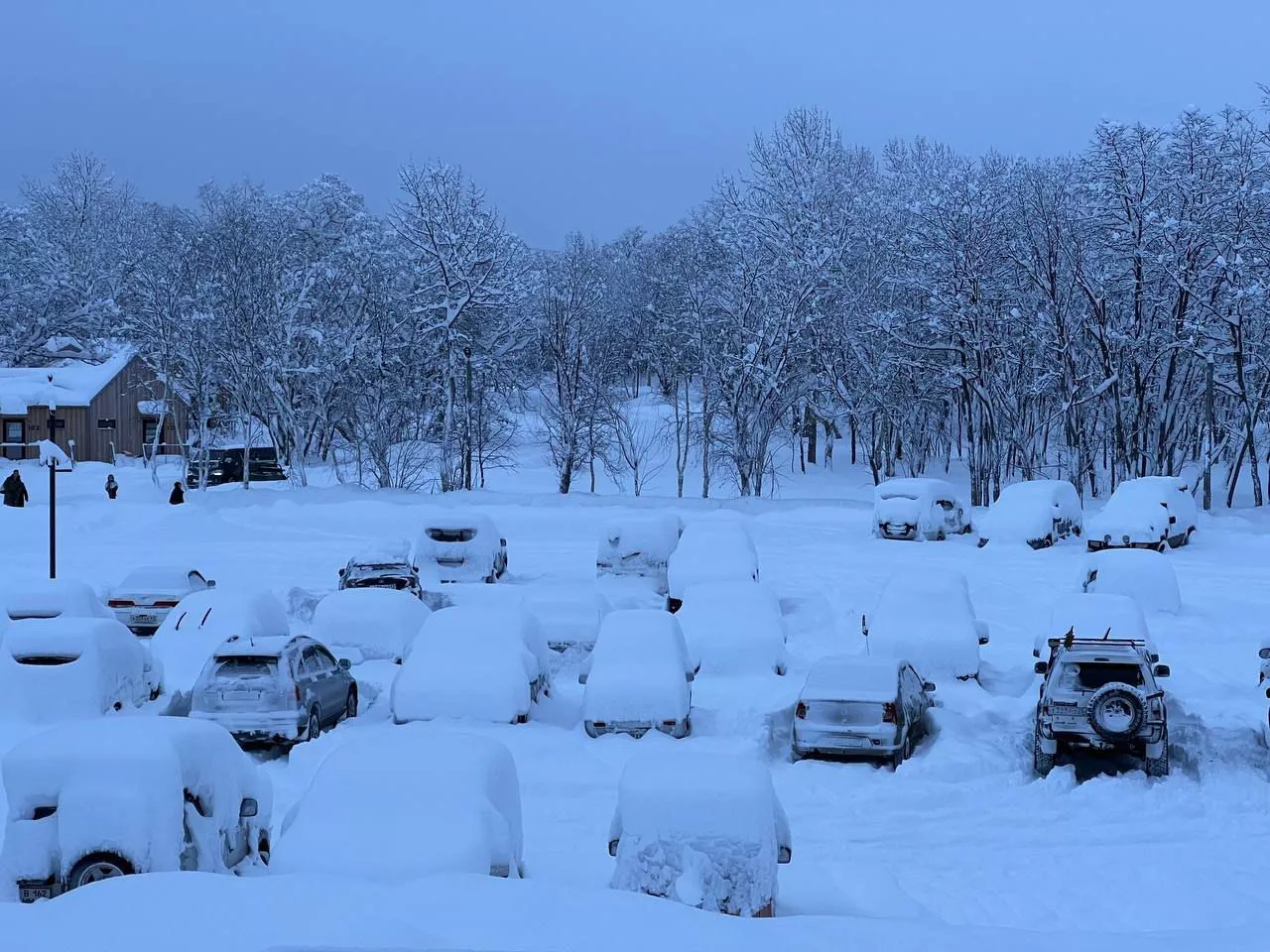 РБК Приморье