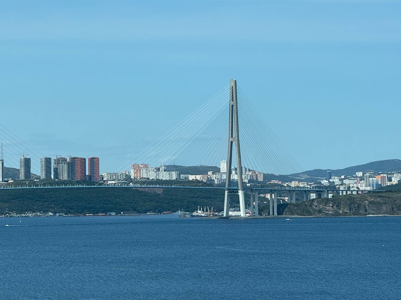 Фото: РБК Приморье