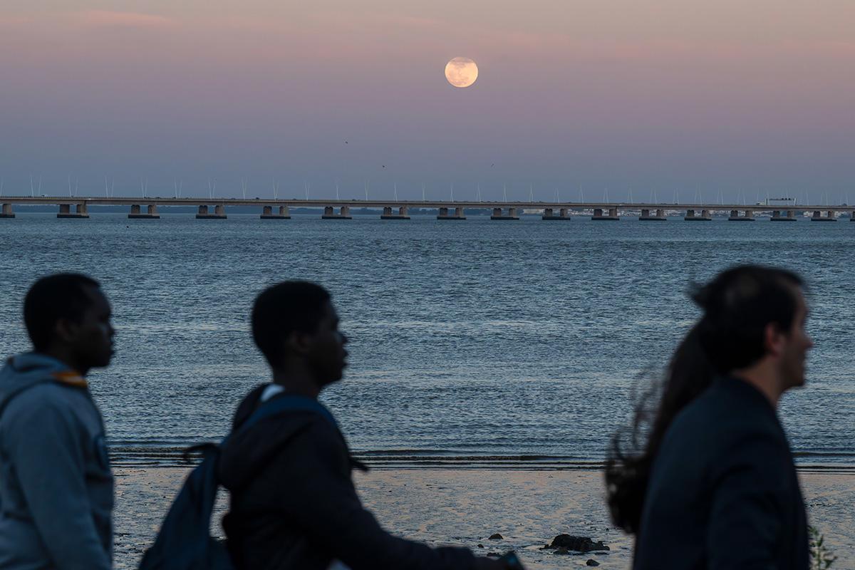 «Розовая Луна», Лиссабон, Португалия, 01 апреля 2026 года