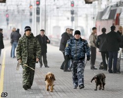 Петербургский судья пойман с 10 кг гашиша