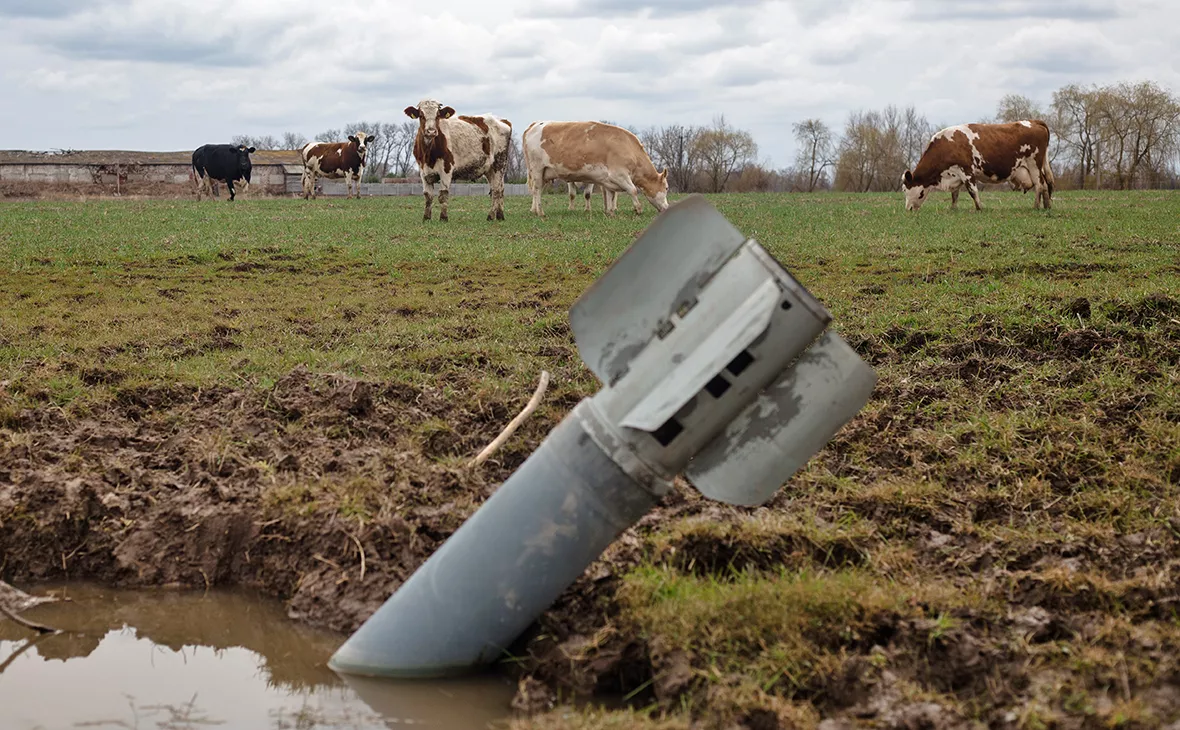 Анастасия Власова / Getty Images