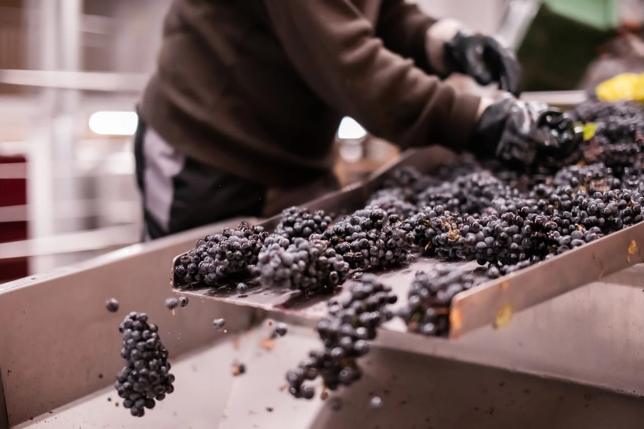 пресс-служба администрации Краснодарского края