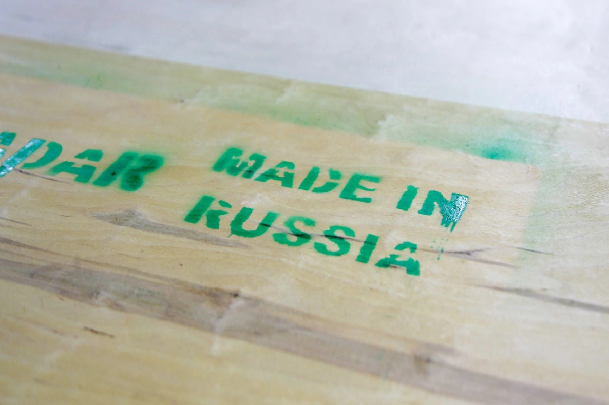 Ася Бронникова / URA.RU