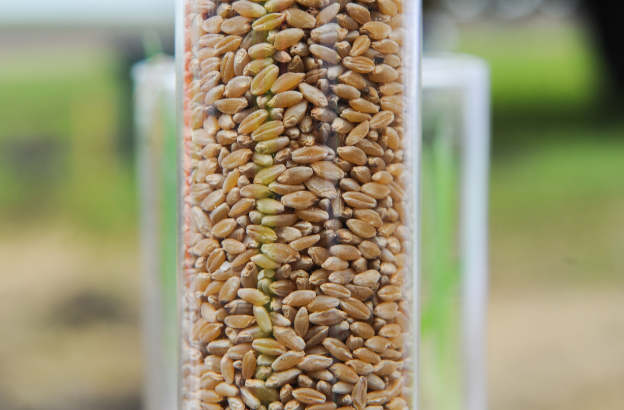 Вадим Ахметов / URA.RU