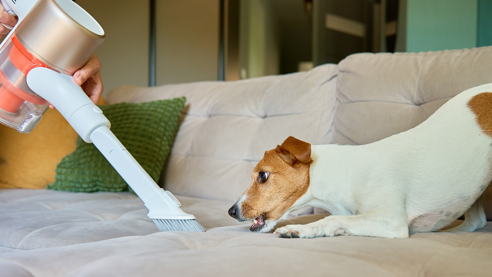 Страх собаки перед пылесосом может быть вызван громкими, высокочастотными звуками, издаваемыми бытовым прибором