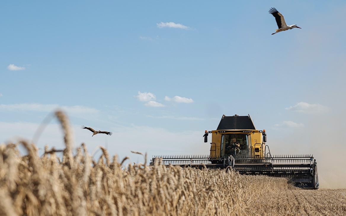Зеленский допустил двукратное сокращение урожая зерна на Украине