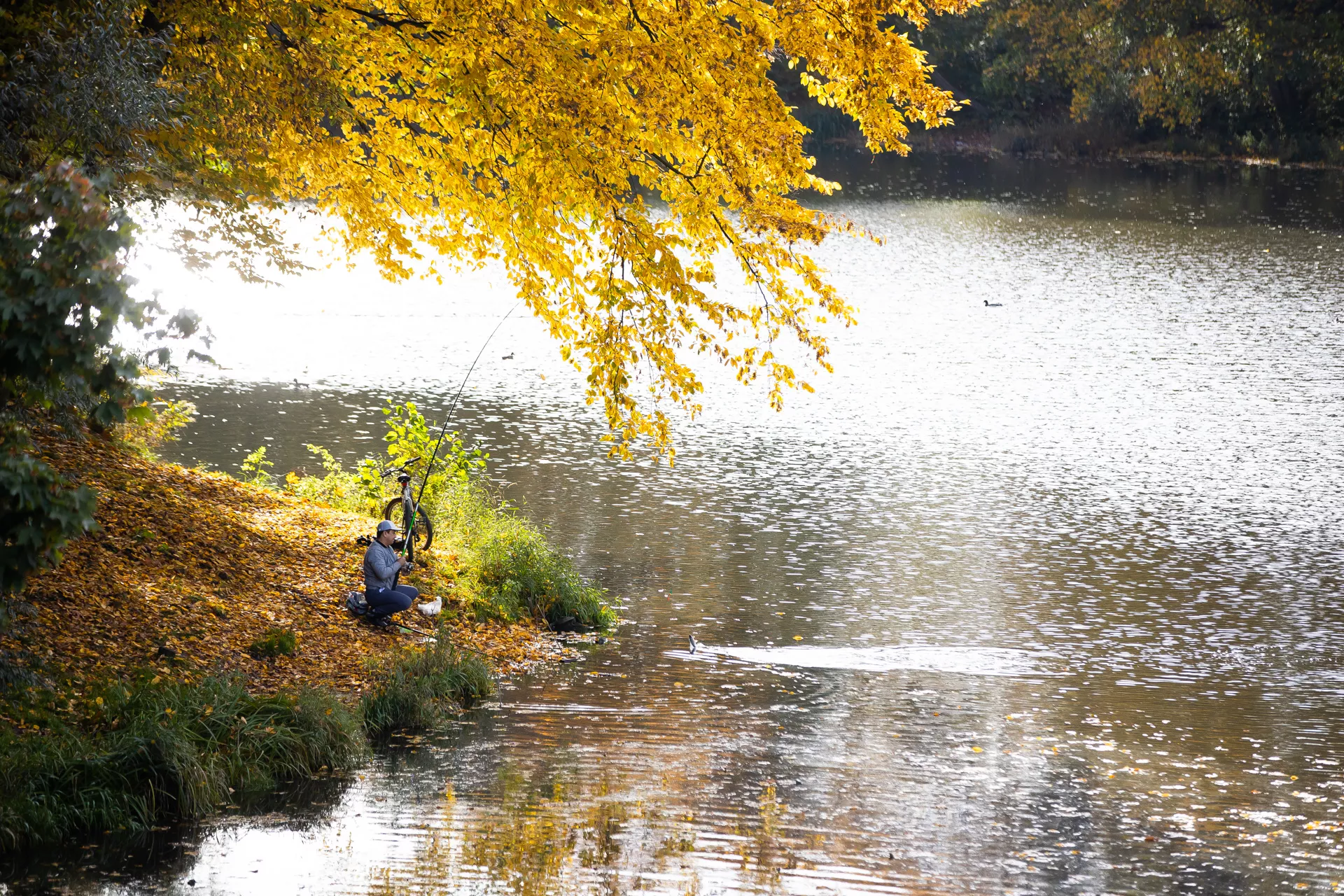 Александр Подгорчук