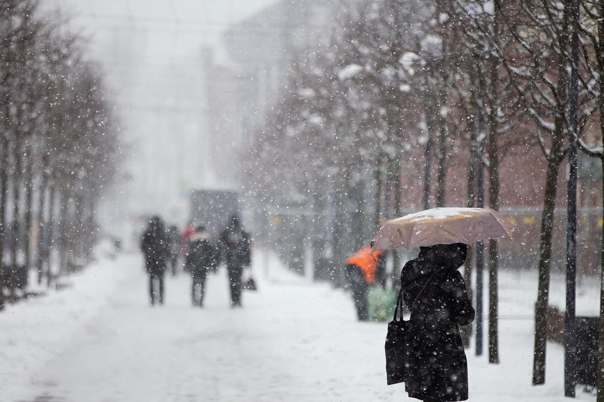 Александр Подгорчук