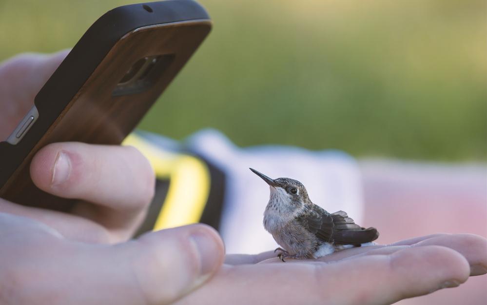 Фото: Shutterstock