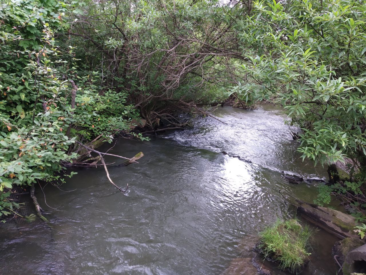 Фото: Алексей Коваленок / РБК Новосибирск