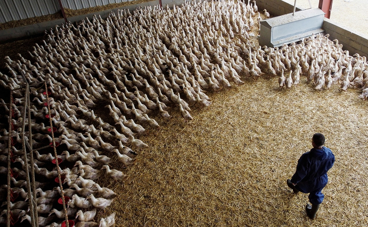 Stephane Mahe / Reuters