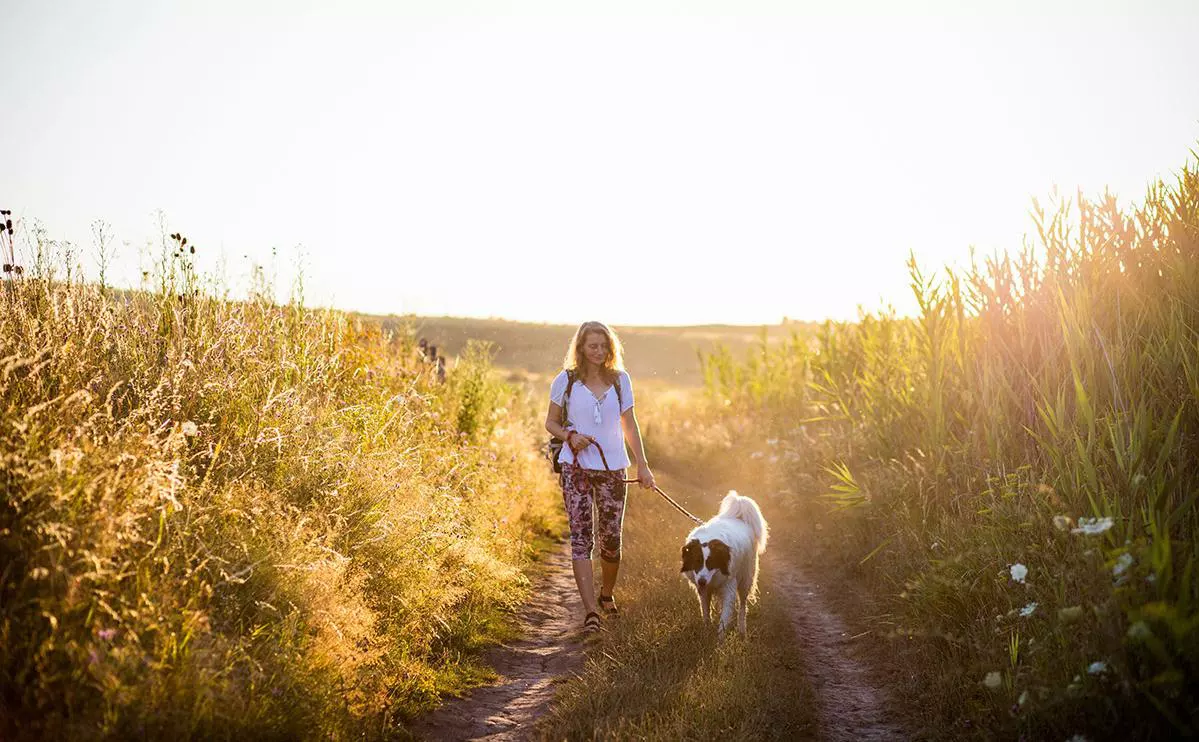 Melinda Nagy / Shutterstock / Fotodom