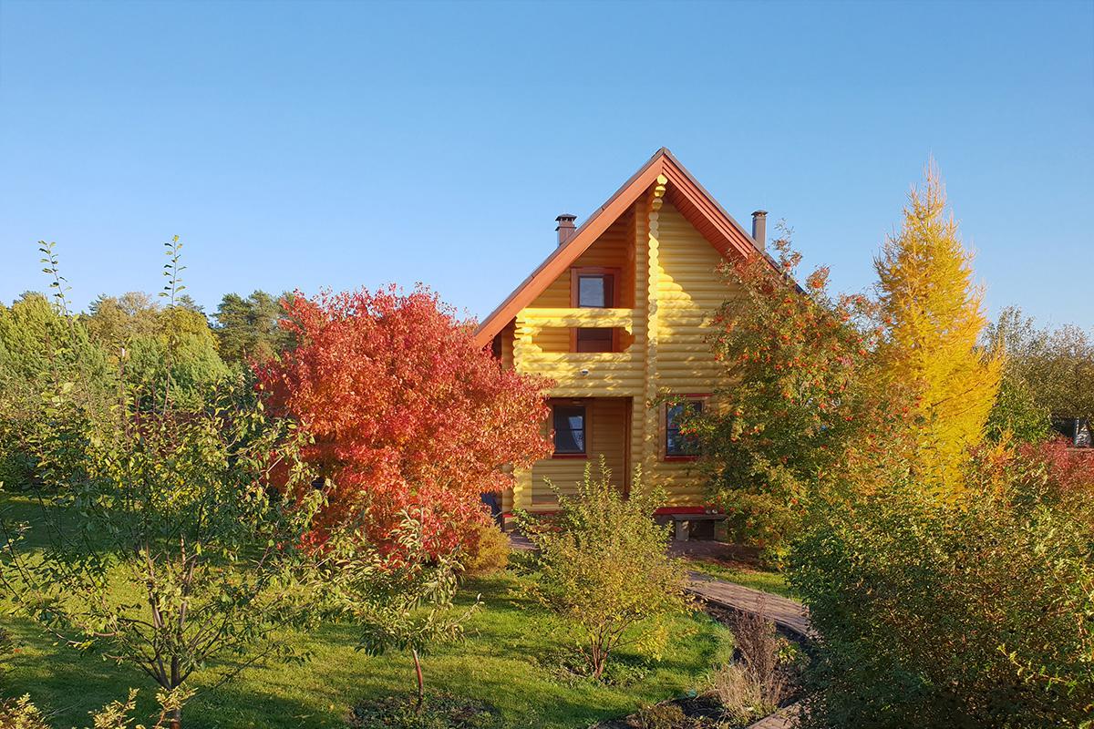 Фото: Andrey M. Sukhov / Shutterstock / FOTODOM