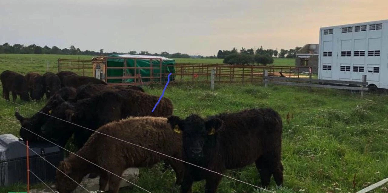 пресс-служба администрации Зеленоградска