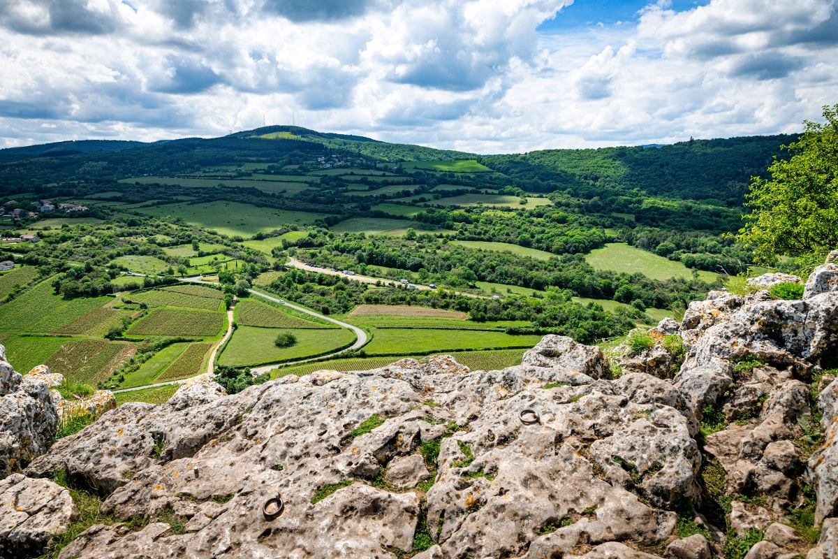 Аппелласьон Pouilly-Fuisse AOC