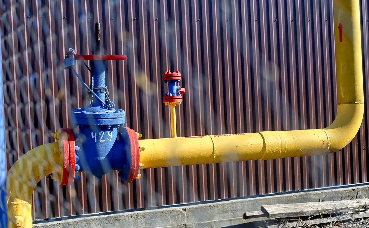 Елена Майорова / Global Look Press