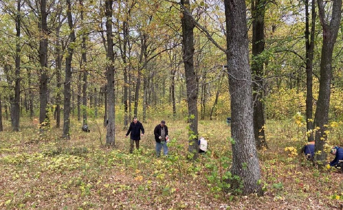 Минлесхоз РБ