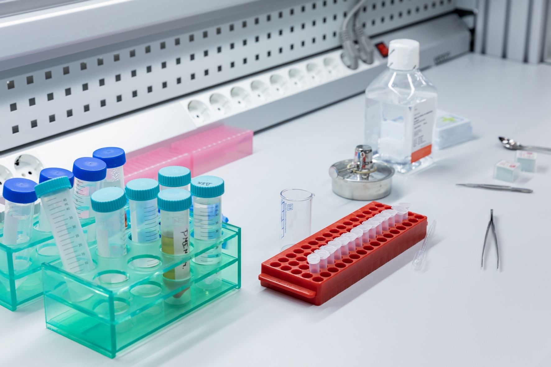 Фото: Смышляев Алексей/PhotoXPress.ru