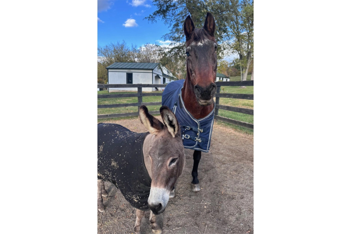 Фэнси и Рози