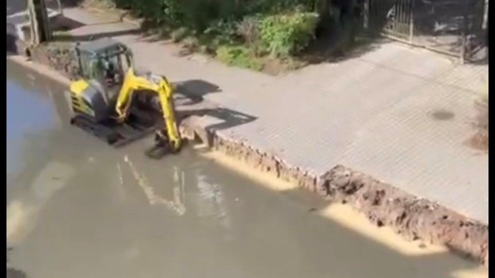 Фото: скриншот видео «Клопс»