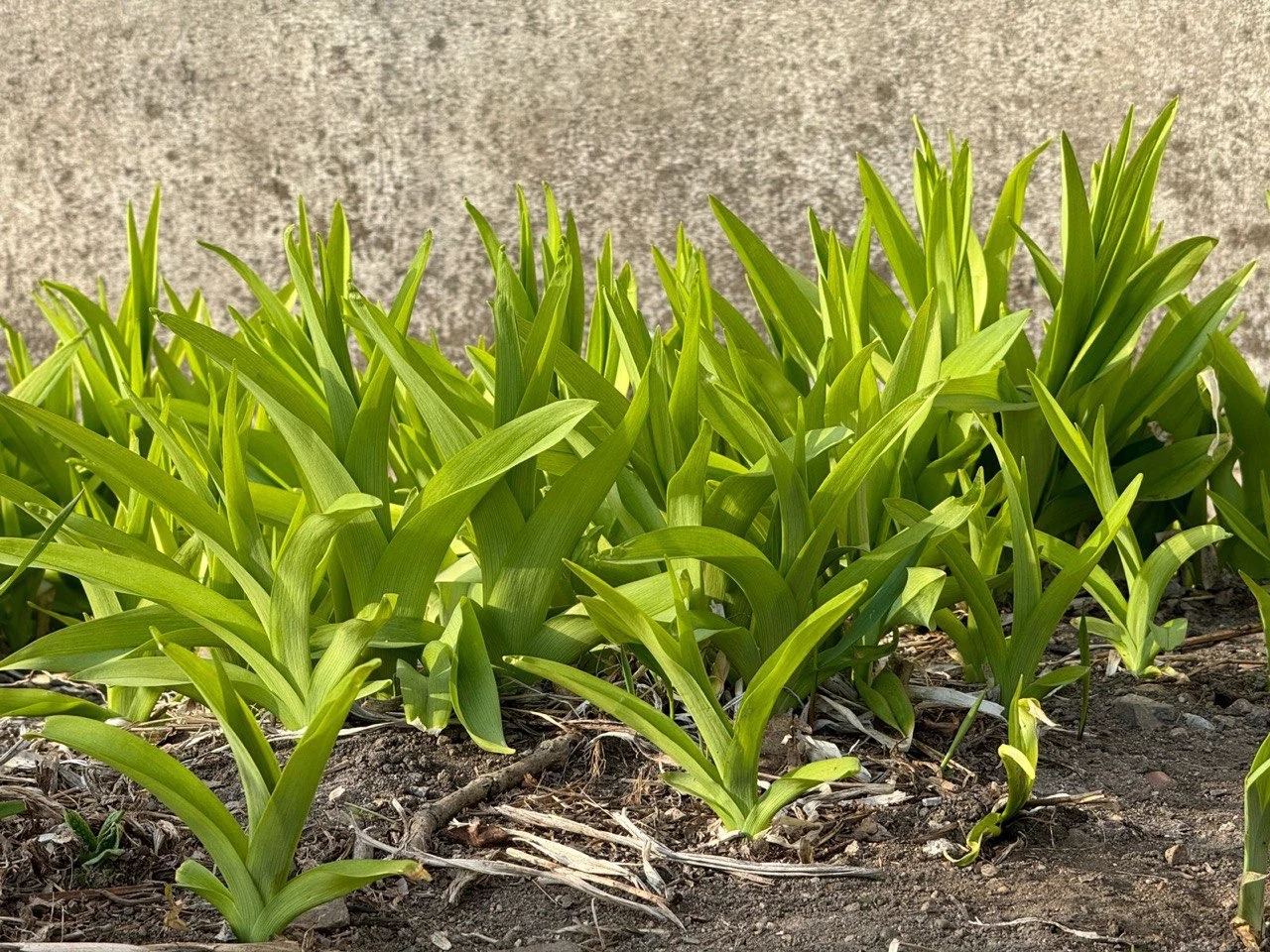 РБК Приморье