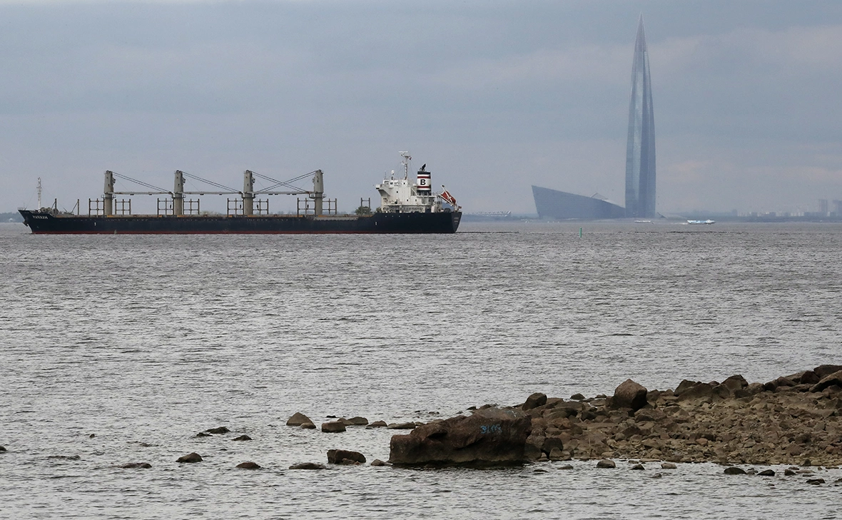 Анатолий Мальцев / EPA / ТАСС