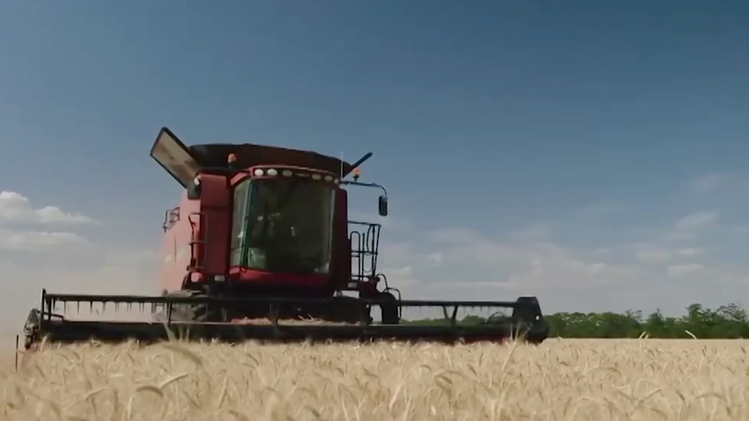 Глава бюро ФАО в Москве сообщил об активном вывозе зерна с Украины сушей