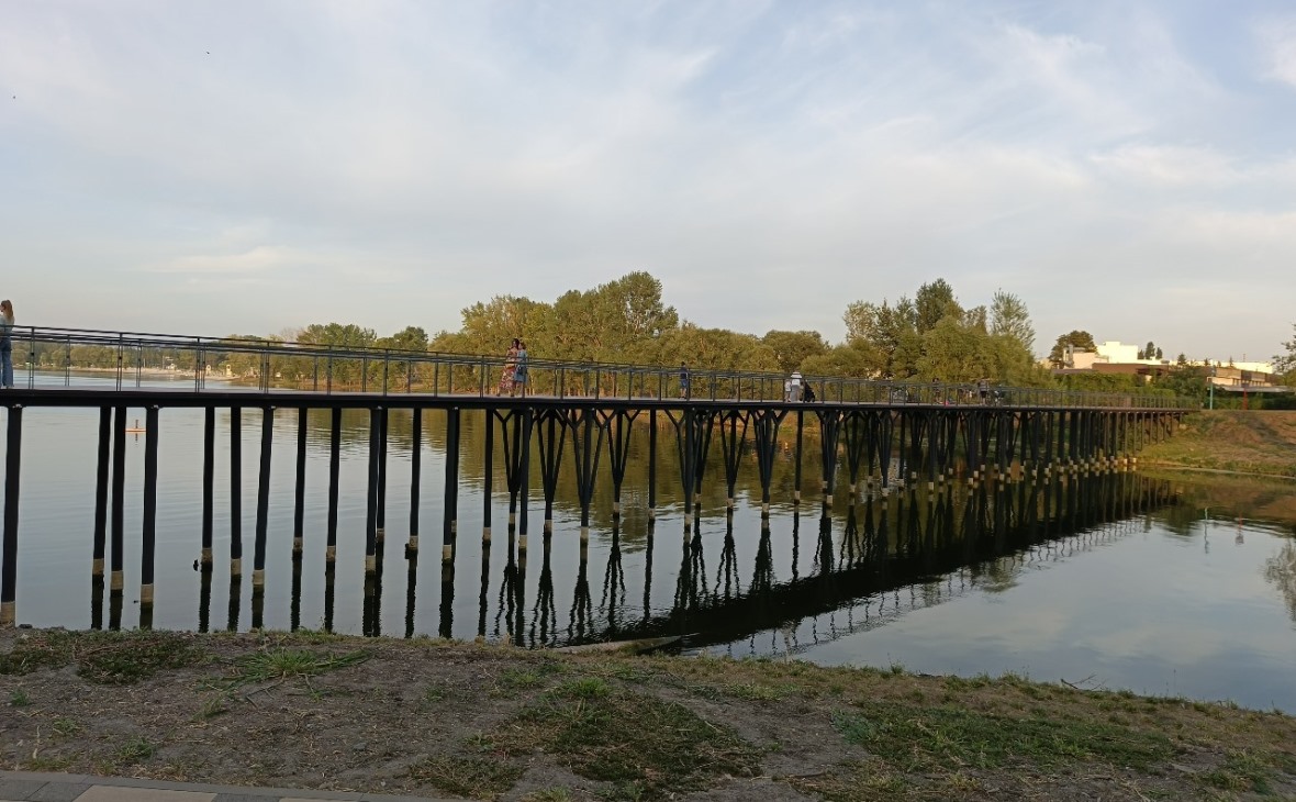 Фото: РБК Черноземье