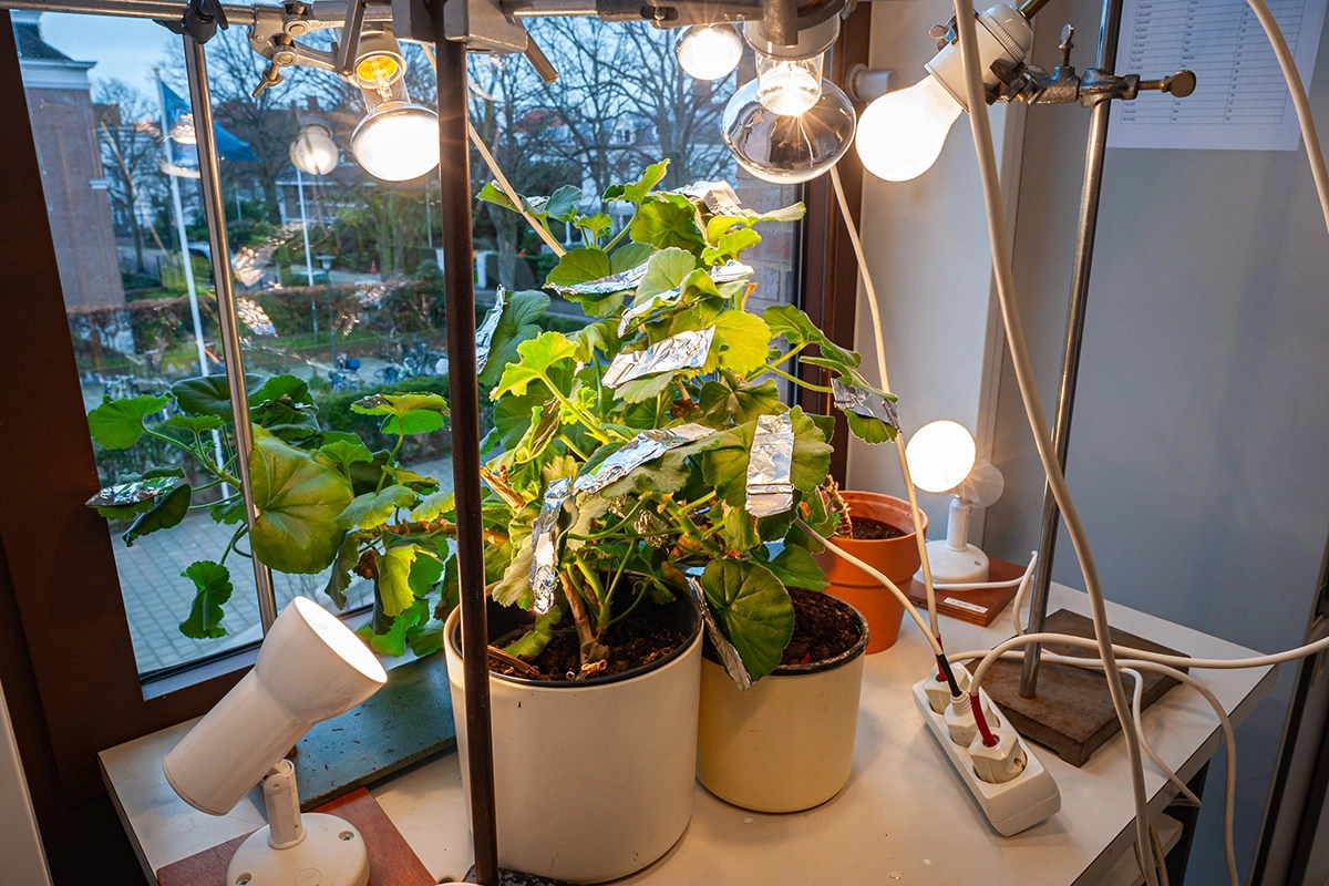 В основе процесса лежат окислительно-восстановительные реакции