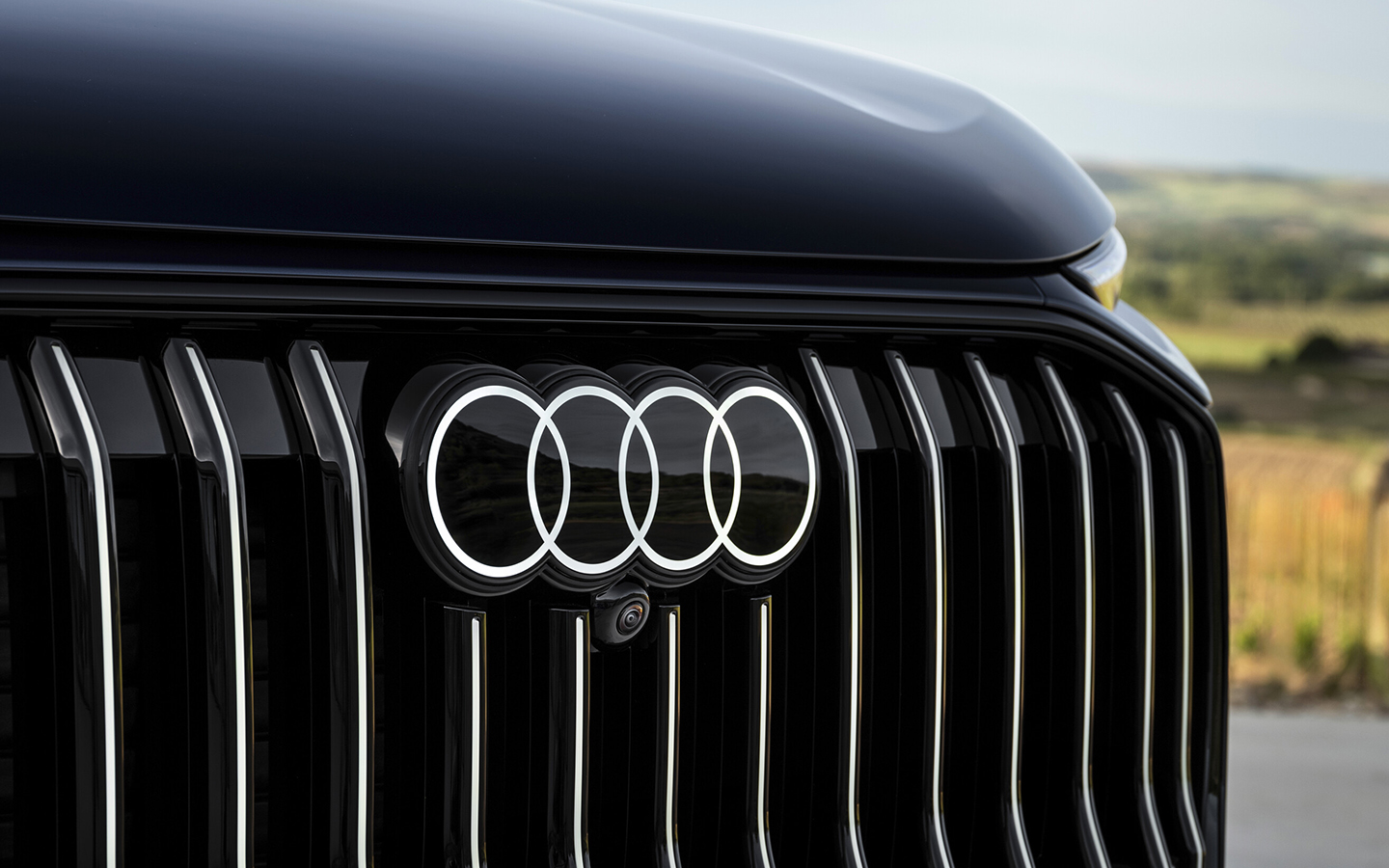 Из трех моделей на данный момент в России можно купить только BMW X7. Q9 и новый GLS&nbsp;&mdash; пока на подходе