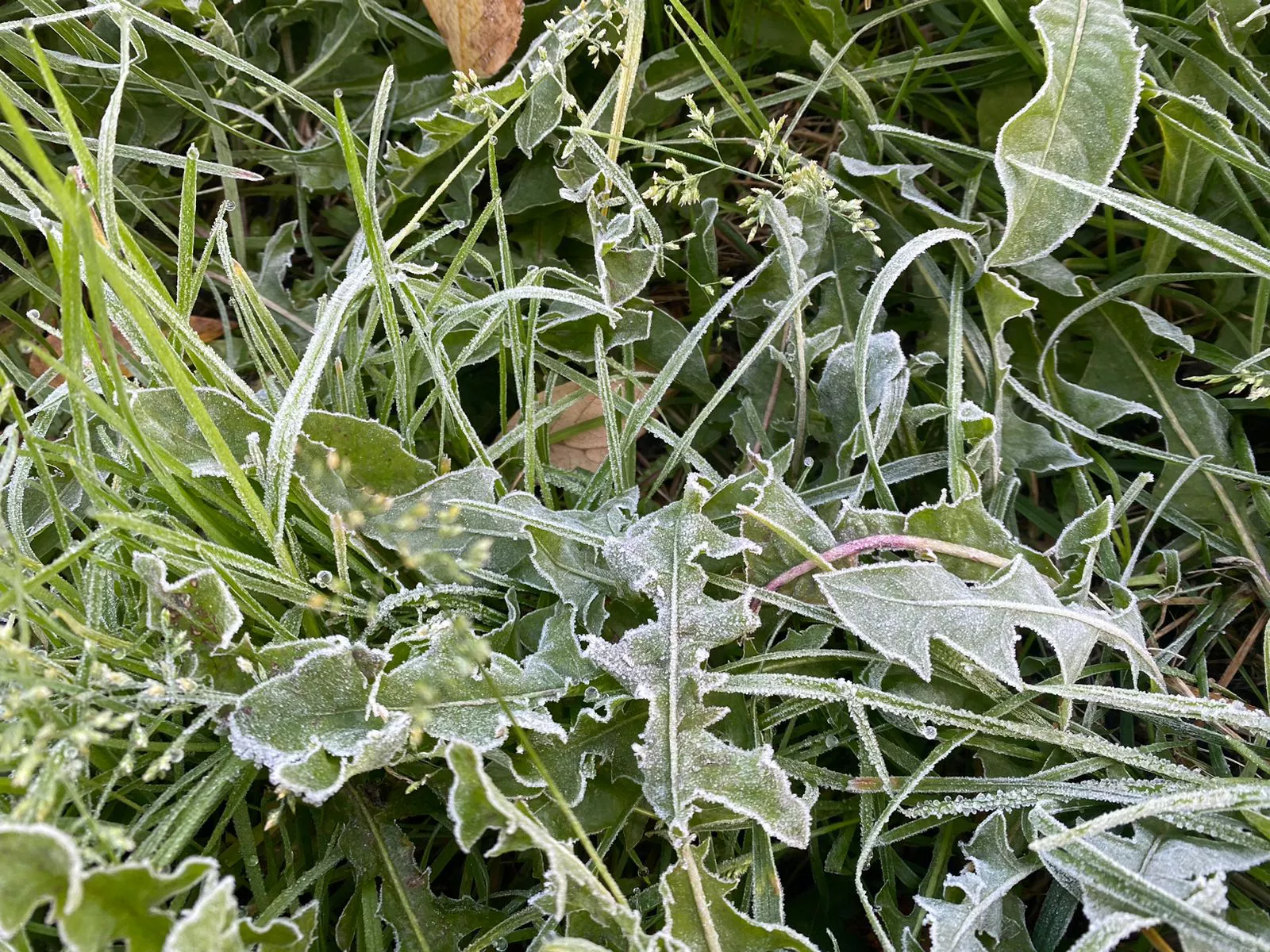 РБК Приморье