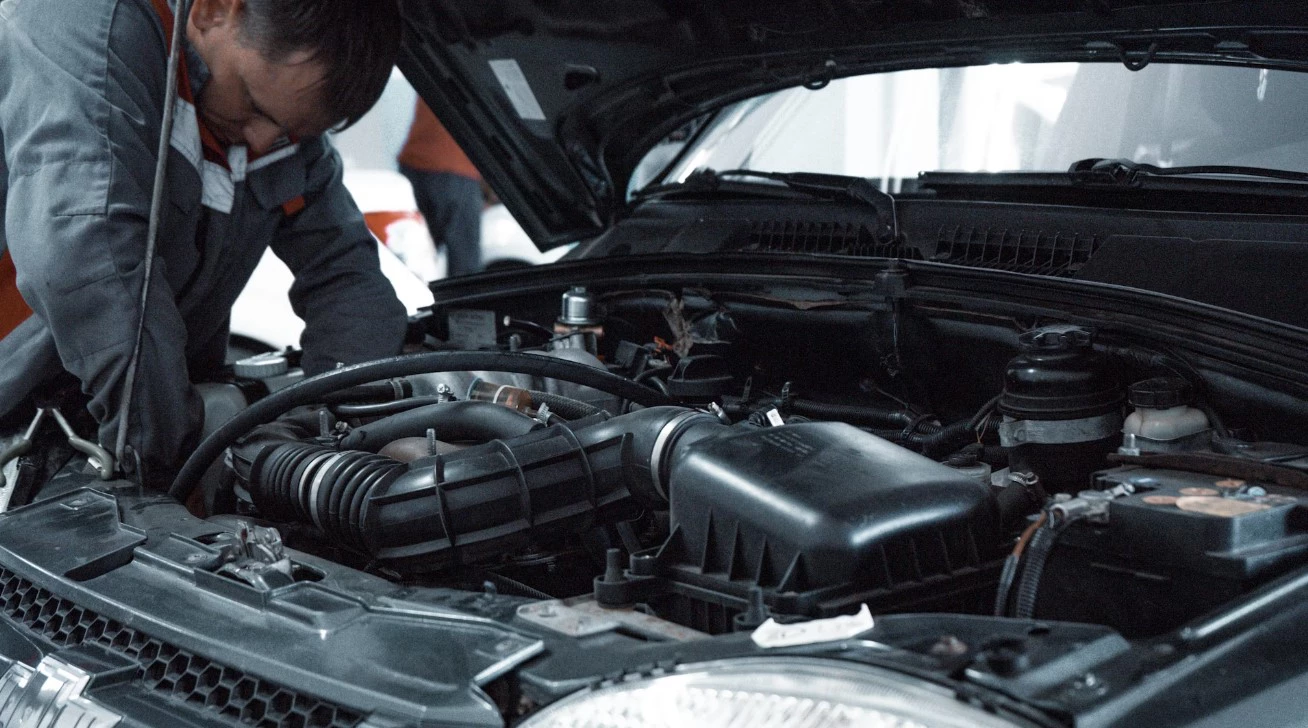 Unsplash: Kate Ibragimova