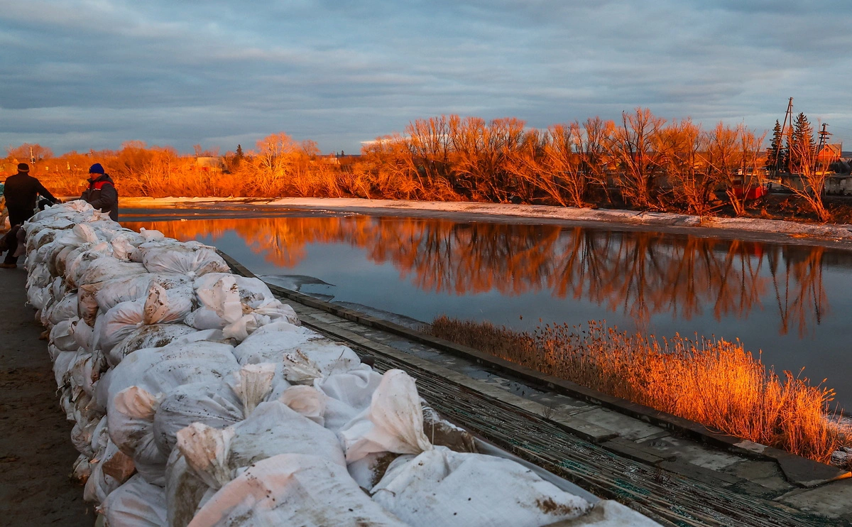 Донат Сорокин / ТАСС