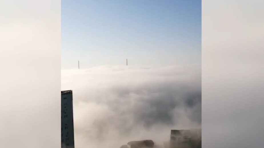 Густой туман во Владивостоке. Видео