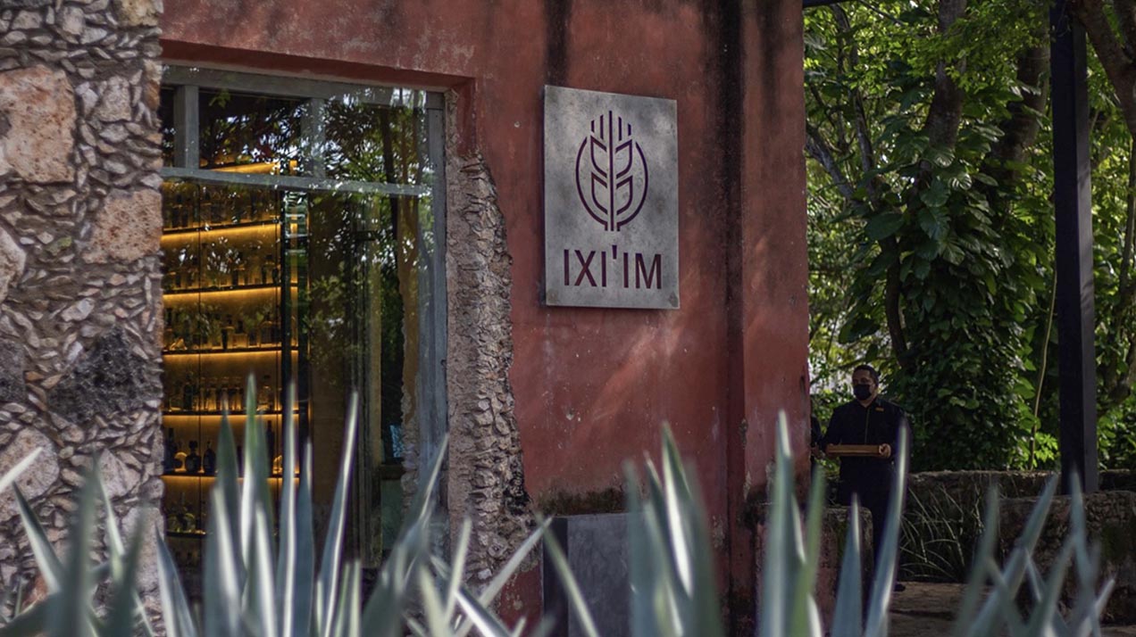 Что подают в ресторане с одной из крупнейших в мире коллекций текилы