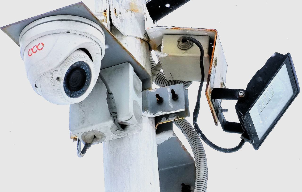 Фото: Алексей Коваленок / РБК Новосибирск