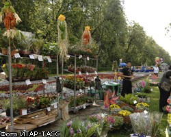 В России начинается рост садовых гипермаркетов