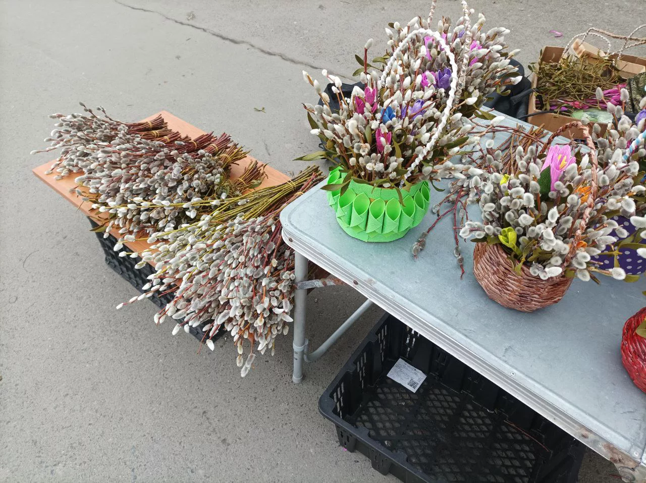 РБК Приморье