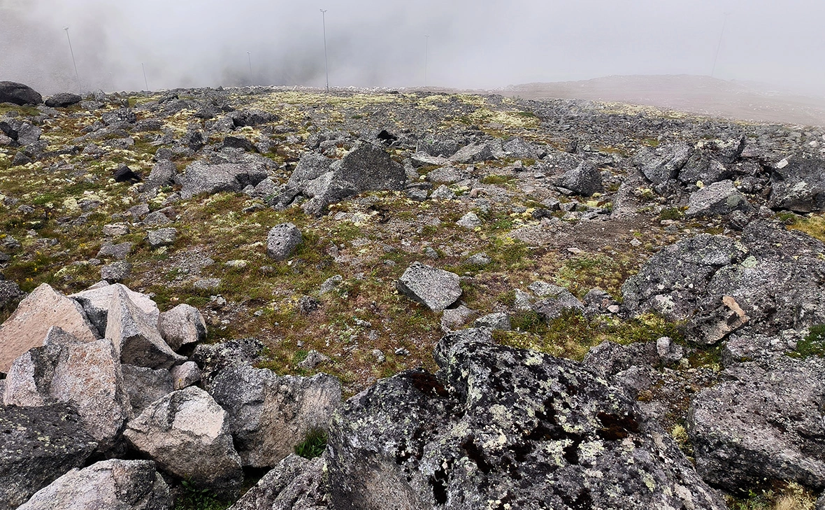 Максим Константинов / Global Look Press