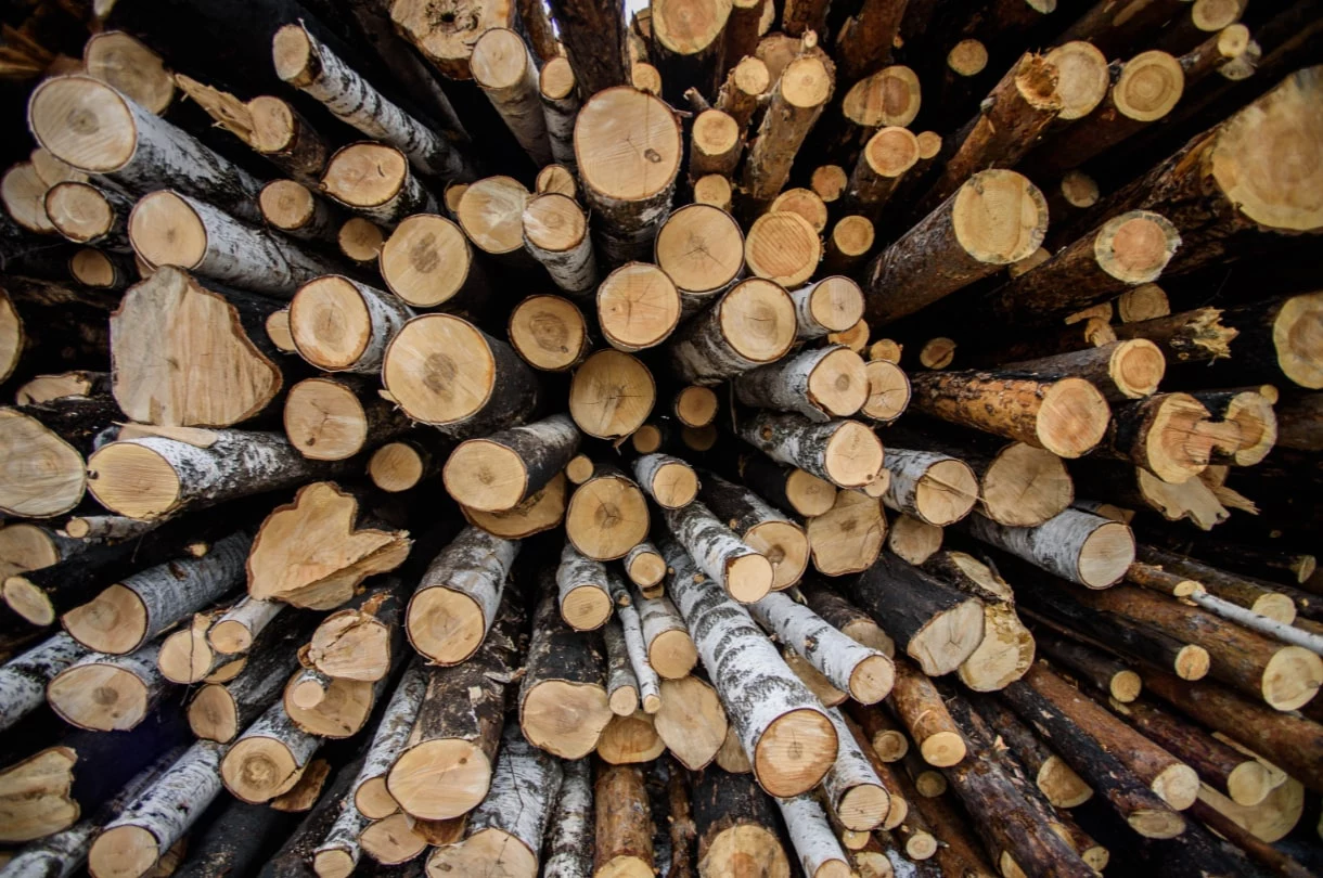 Илья Московец / URA.RU