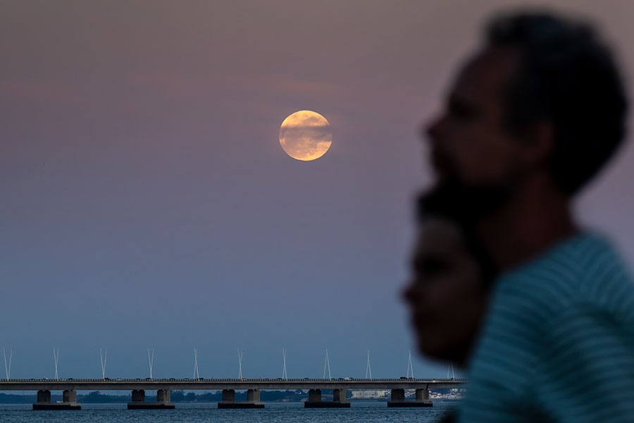 Jorge Castellanos / Keystone Press Agency / Global Look Press